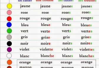 Le pluriel des adjectifs de couleur 