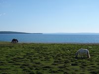 Mongolie Tour Part II - Centre et Nord