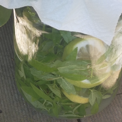 Verveine citronnelle : un pétillant, juste en passant...