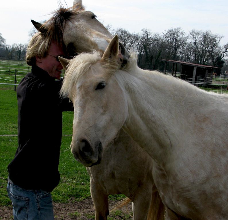 Jument onc palomino par Quad'or et Kahomanie, née le 10 mars 07