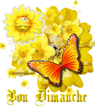 Gif animé Bon Dimanche avec fleurs jaunes et papillon