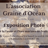 Exposition Photo