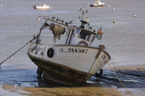 Photographies de bateaux dans les ports de Bretagne...