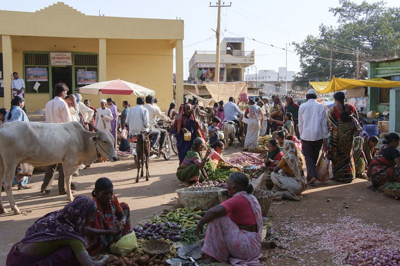 le grand marché du lundi à Badami (cliquez pour dérouler les photos)