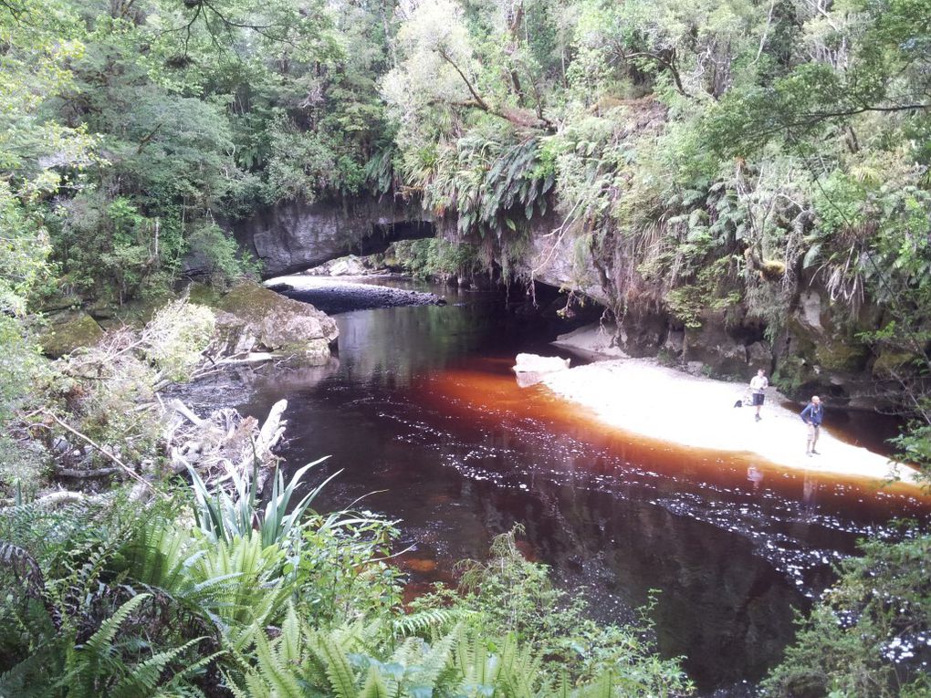 Karamea (Heaphy Track et Oparara Basin)