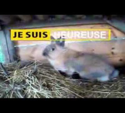 PARODIE #2 - PUB NIKON - VERSION LAPIN 