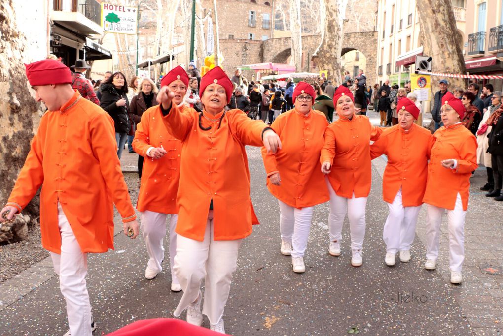 CARNAVAL 2024 A CERET (1ère cavalcade)