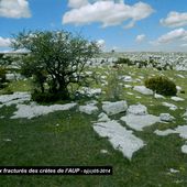 SOMMET de LA PARIOUNE - Alpes de Hte Provence