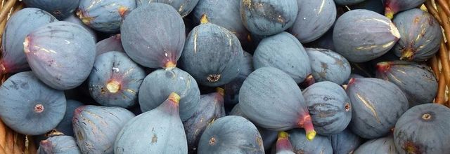 Comment faire sécher des figues... au soleil ou au four ?