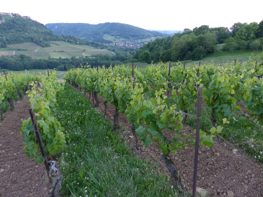 Ascension dans le Jura (one)