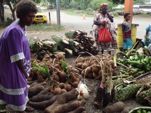 Marchés du Vanuatu et d'Indonésie