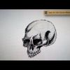 Como dibujar una calavera - Art Academy Atelier Wii U