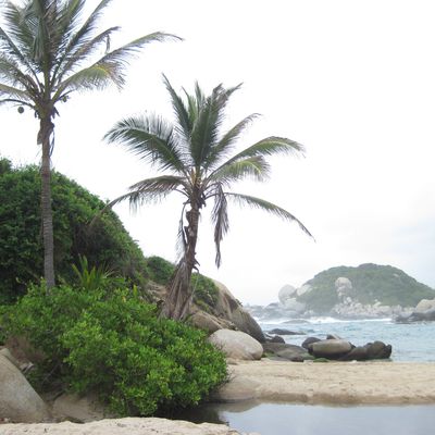 Le parc de Tayrona...