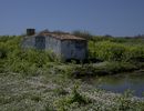 Ile de Ré, les marais