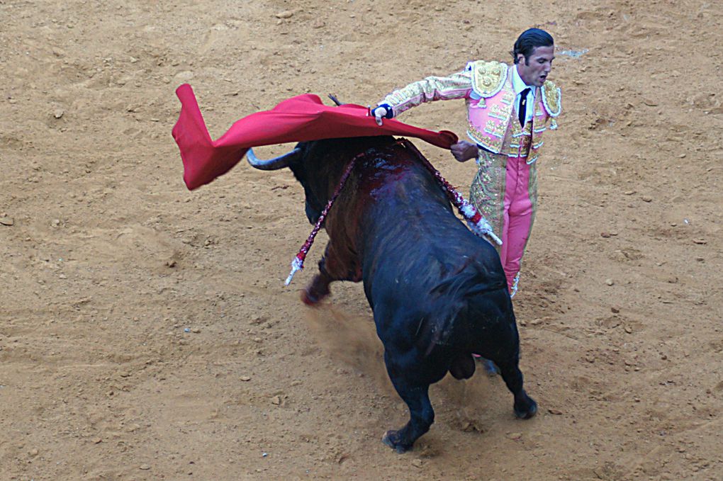 Album - 2012 / 09 - Toros-y-Salsa-corrida-de-Fuente-Ymbro