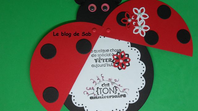 Carte anniversaire coccinelle  