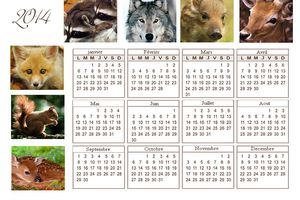 Calendrier annuel 2014 thème animaux