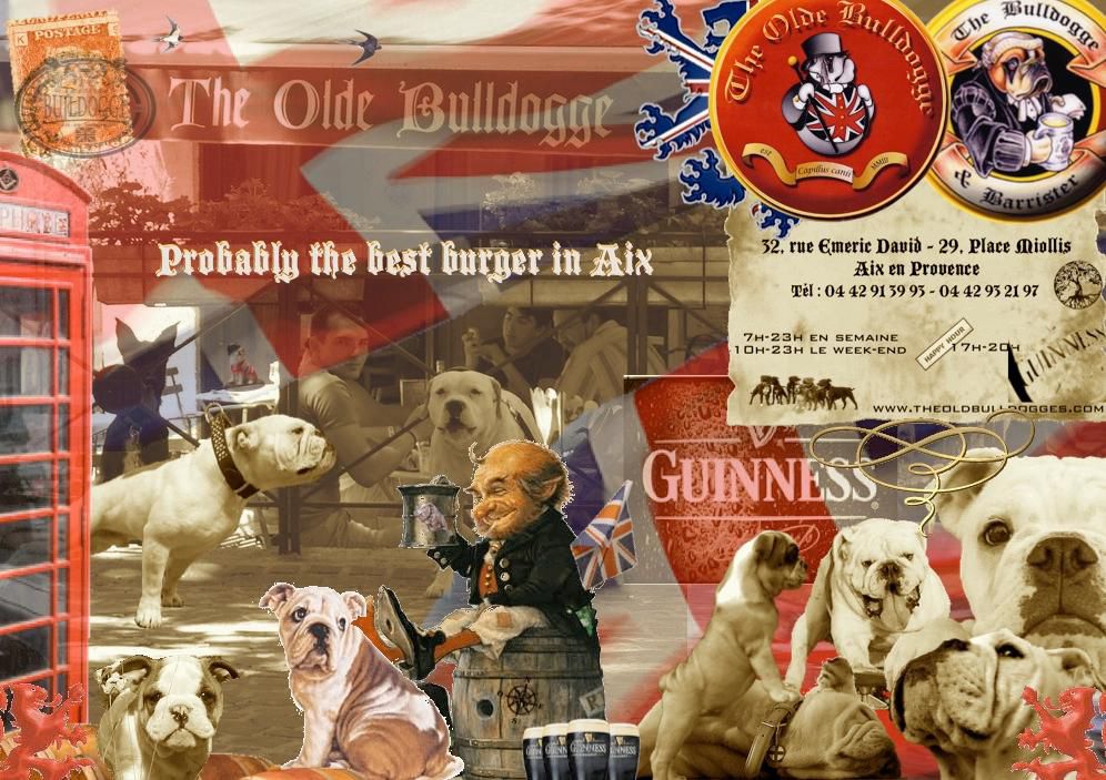 Album - Olde-Bulldogge-pubs-and-logos