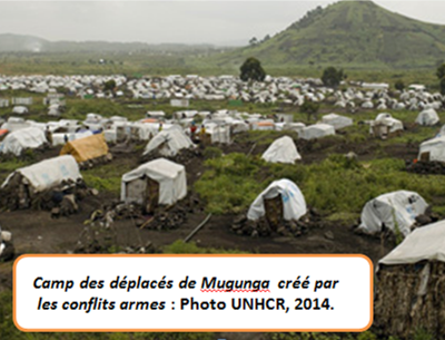 Sujet : LA CATEGORISATION D’ONGs, ACTEURS HUMANITAIRES ET AGENCES DES NATIONS UNIES : Aide-mémoire du mobilisateur communautaire sur le rôle des ONGs, Agences et associations aux questions d’aide, développement, sécurité et protection sur terrain : cas de la RDC, Nord Kivu. 