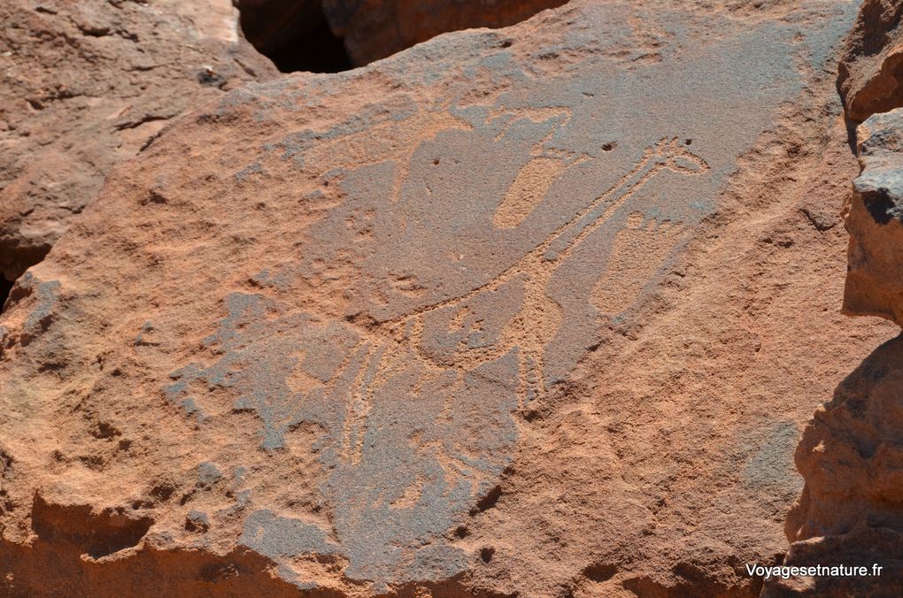Peintures et gravures rupestres du Brandberg