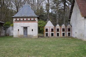 Domaine agricole du HAUT-BRIZAY à Brizay (canton de l'Ile-Bouchard) Indre-et-Loire)