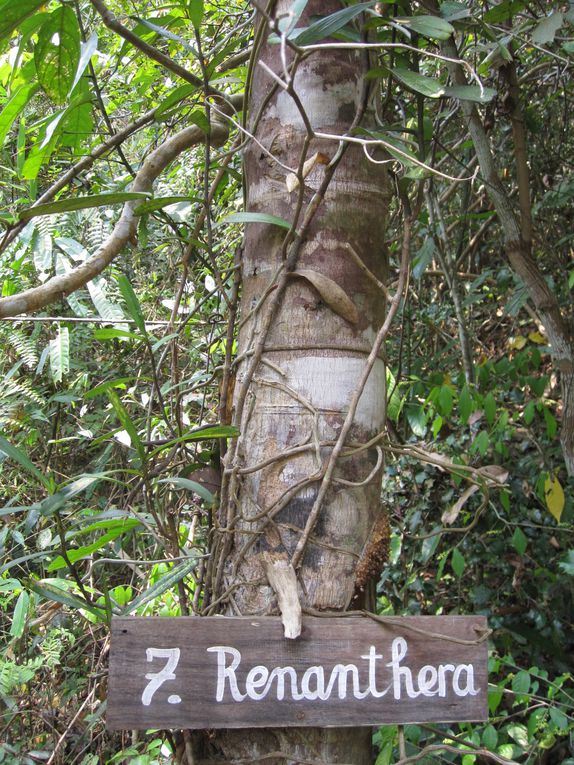 Album - LAOS VangVieng Thatek et Namlik