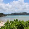 Hamilton Island