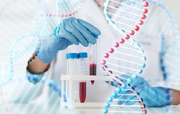 Giá trị mà xét nghiệm ADN đưa lại đối với đời sống chúng ta