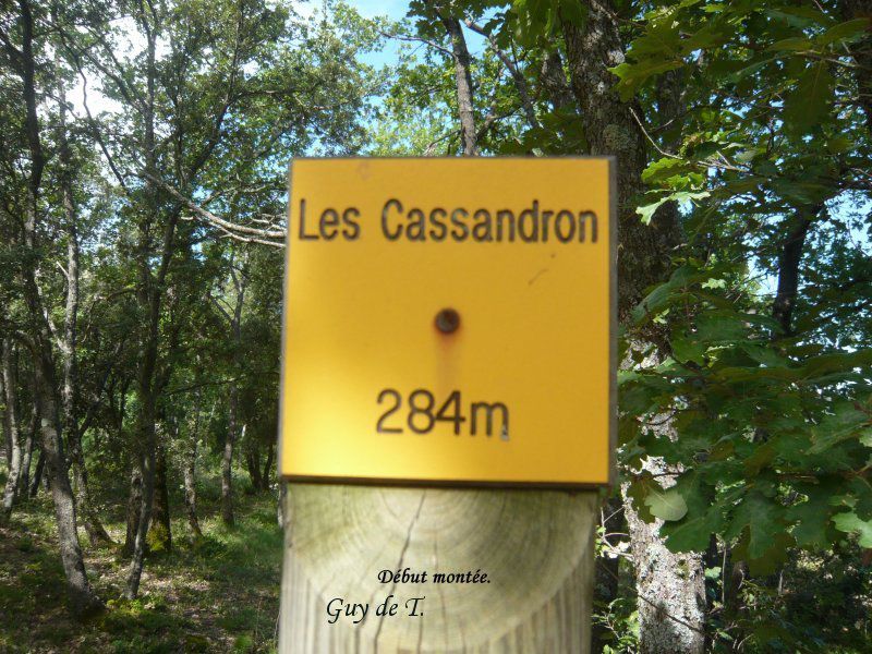 Circuit à la Forêt de Cèdres (Petit Luberon) au départ de Lacoste.