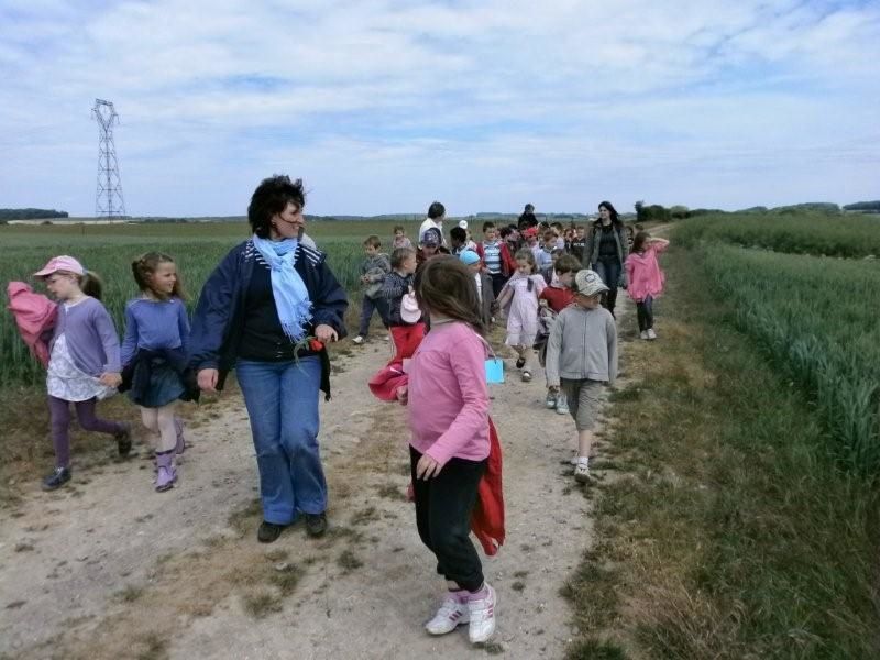 Partagez avec nous quelques-unes sorties réalisées cette année : Le bois de Creuse, la ferme d'antan, le parc de Thoiry, le voyage à Canterbury en Angleterre...