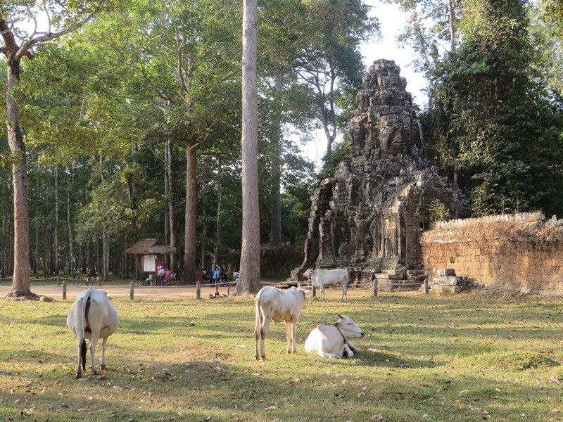 Aux abords de l'ancienne cité d'Angkor Thom