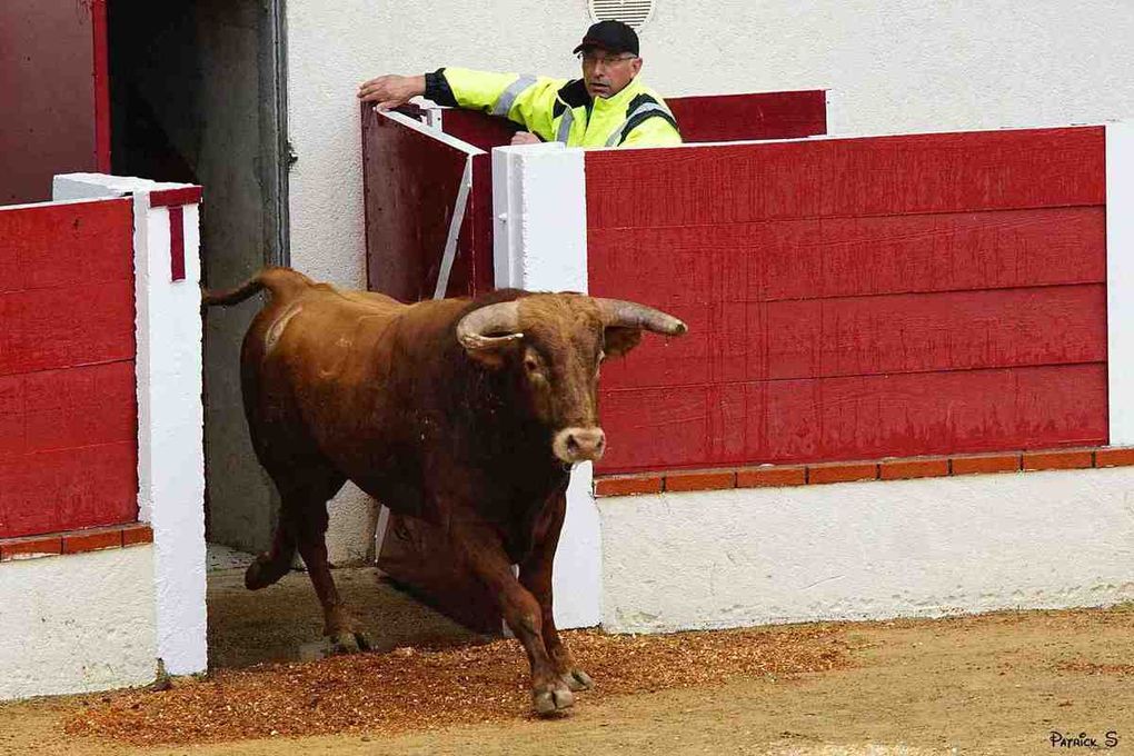                            GARLIN-LES-BAINS