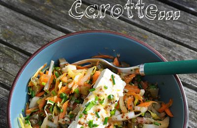 Salade de lentilles vertes du Puy, endive, carotte et feta