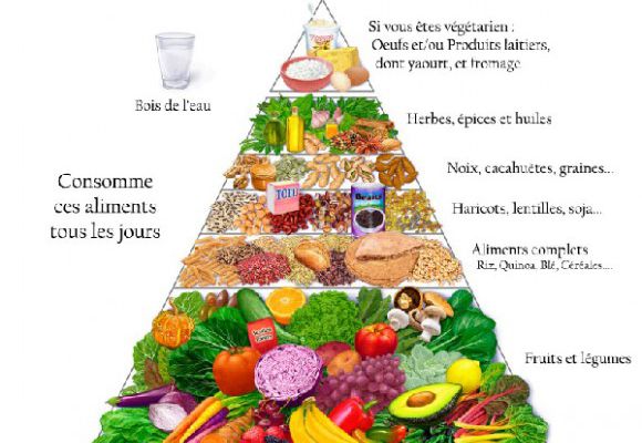 Manger deux fois par jour fait il maigrir