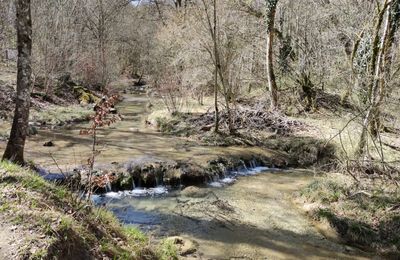 Pique-nique dans le "Val Suzon"