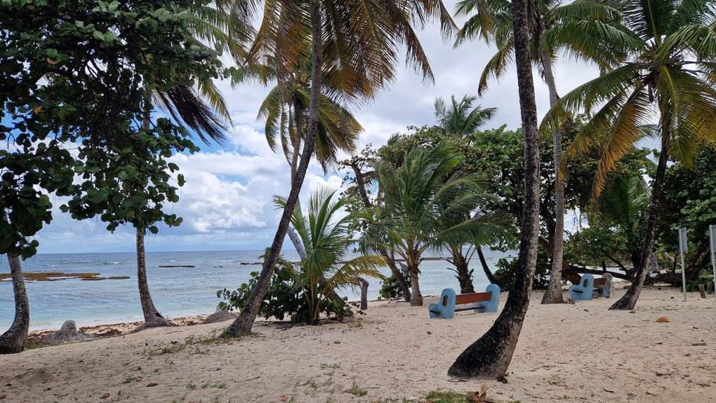 Escale à Marie-Galante (Guadeloupe) du 13 au 20 mars 2024