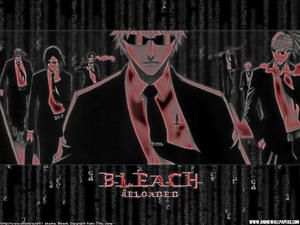 Bleach 79