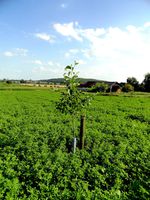 Une agriculture tournée vers l'avenir!