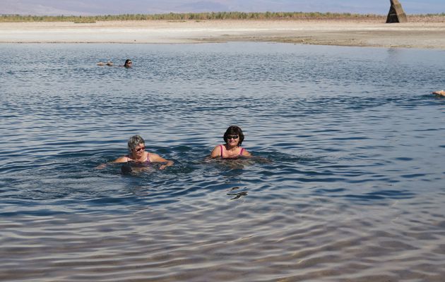 La laguna Cejar et los ojos del salar