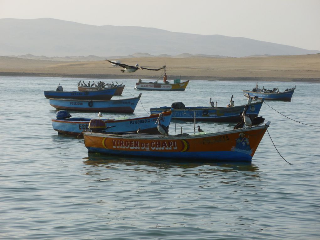 Paracas : l’océan et le désert en face.