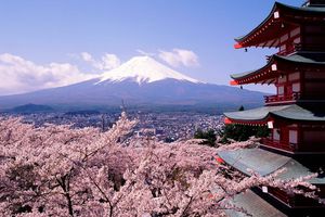 Destination du printemps : le Japon !