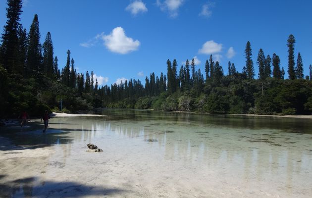 La Nouvelle Calédonie : l’ile des pins