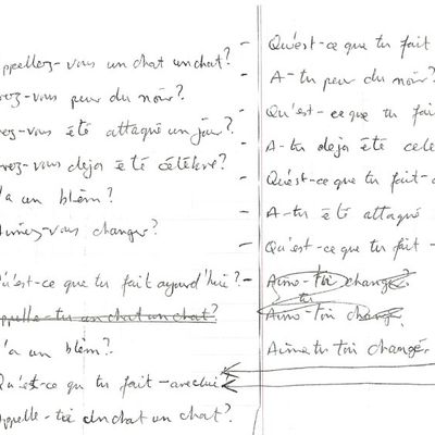 ateliers d'écriture : questions, pierre tilman et libr-critique