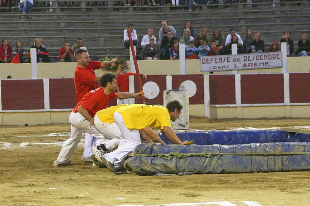 Arènes Parentis 13-08-2010
Croque-vache contre les Pompiers!!