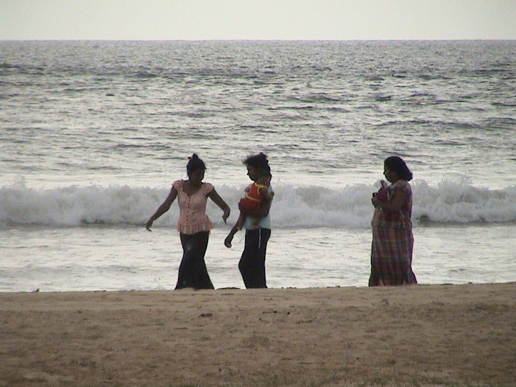 Photos d'un séjour de 3 semaines au Sri Lanka.