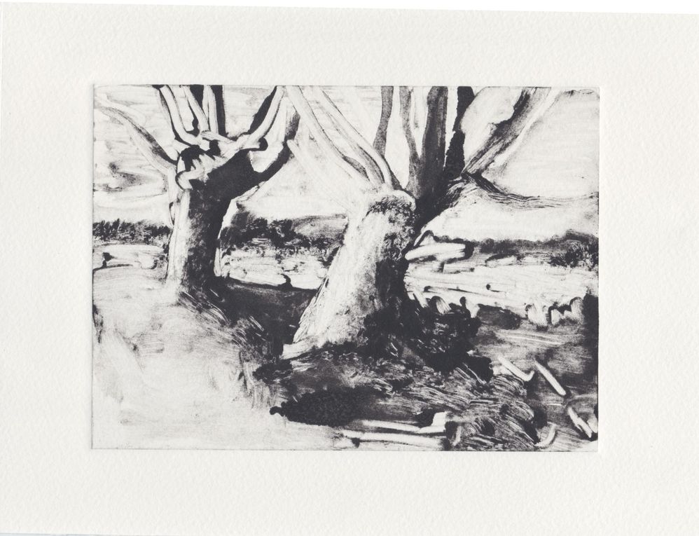 Monotypes Saules