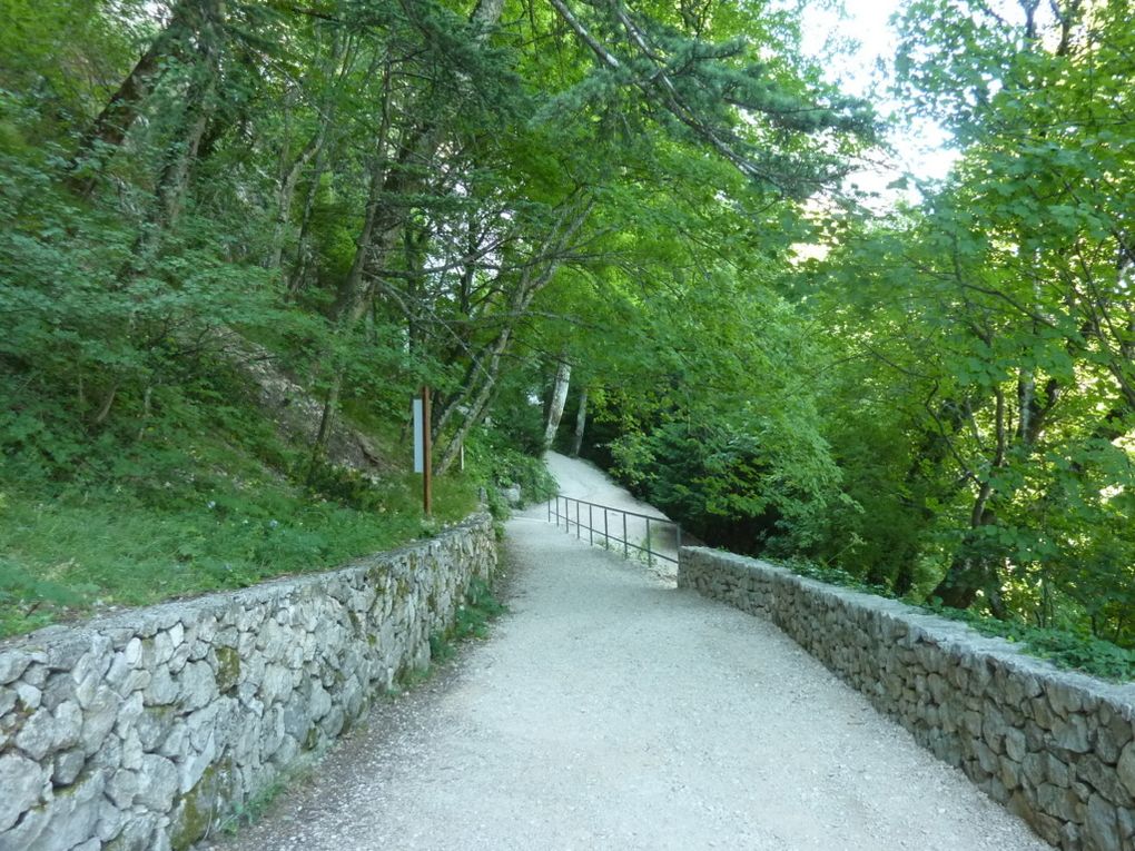 Ste Baume, la Grotte et le sentier merveilleux..