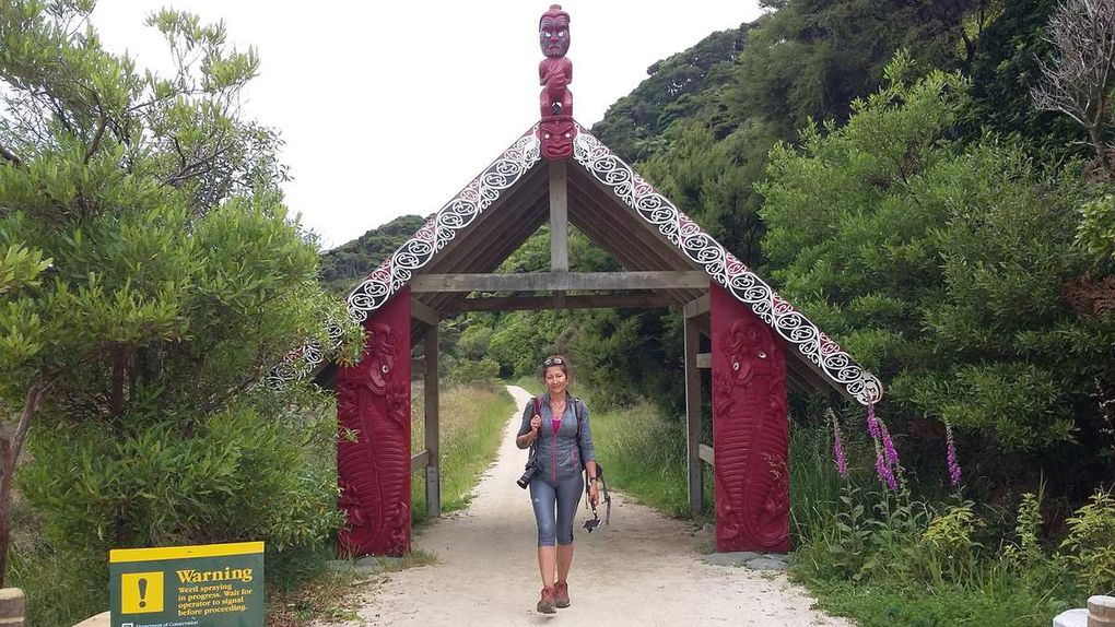 Abel Tasman