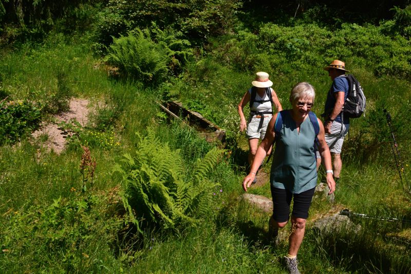 Marche de printemps à Gérardmer - le 19 juin 2022