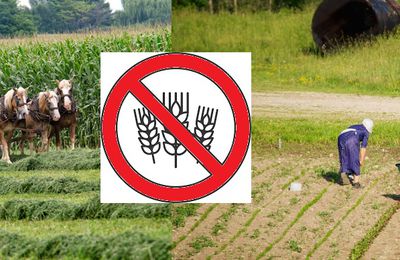 El Departamento de Agricultura de Pensilvania dice que todos los alimentos son “ilegales” a menos que se produzcan en instalaciones aprobadas por el gobierno